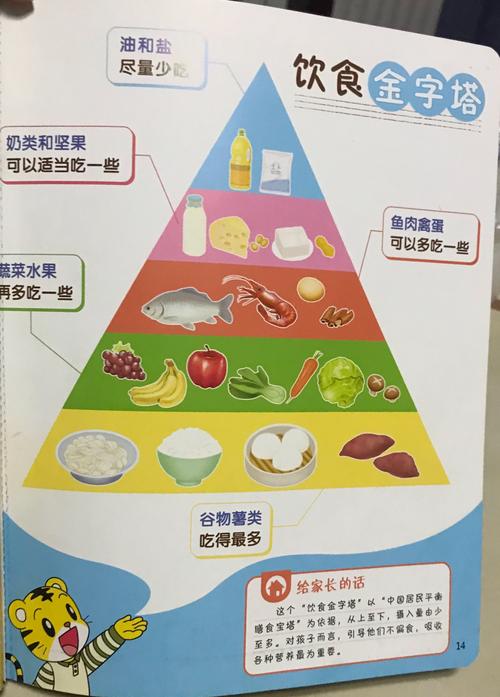 黄色营养包括了碳水化合物和脂肪类食品.