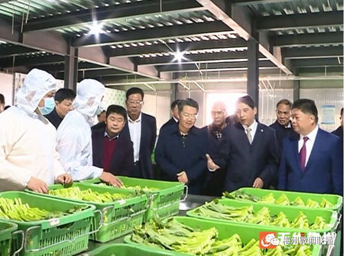 五华一农产品冷链仓储物流园净菜加工厂投产