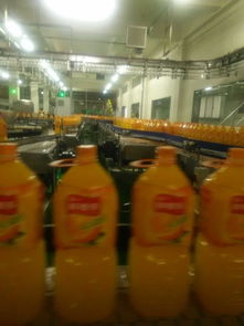 在妙脆角 乐事薯片 巧克力 饼干等食品类加工厂上班是怎样的体验