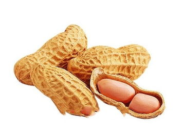 镇赉特产绿色食品花生