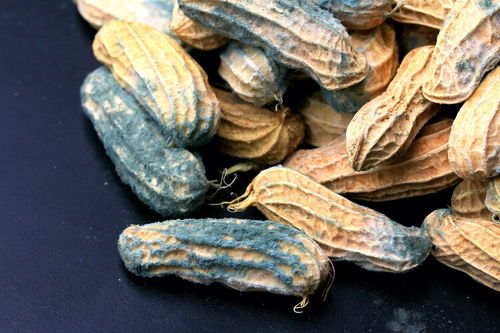 令人惊讶节俭还会得癌症 日常生活中的3种食物,坏了就要扔掉不要犹豫 剩菜