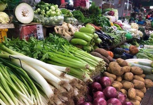 卖蔬菜送馒头 结果年赚30万
