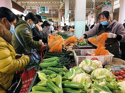蔬菜加工工厂:一亿投资背后的巨大盈利潜力