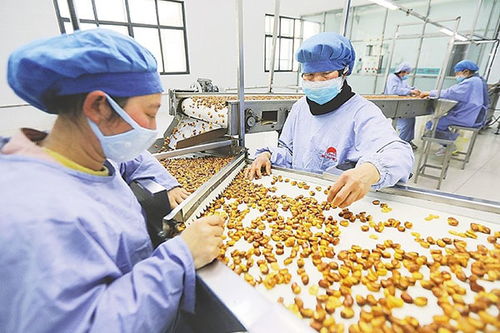 食品厂房选址原则及装修布局要点