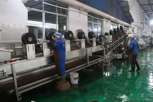 锚定目标谋发展 产业招商绘蓝图——麻江县招商引资为水果产业高质量发展聚势赋能